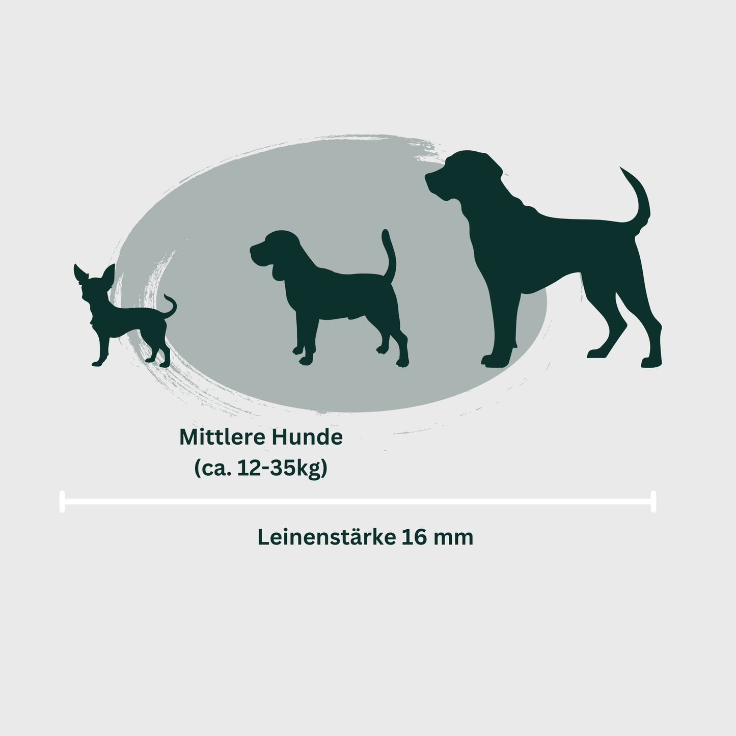 BioThane® Schleppleine 16mm