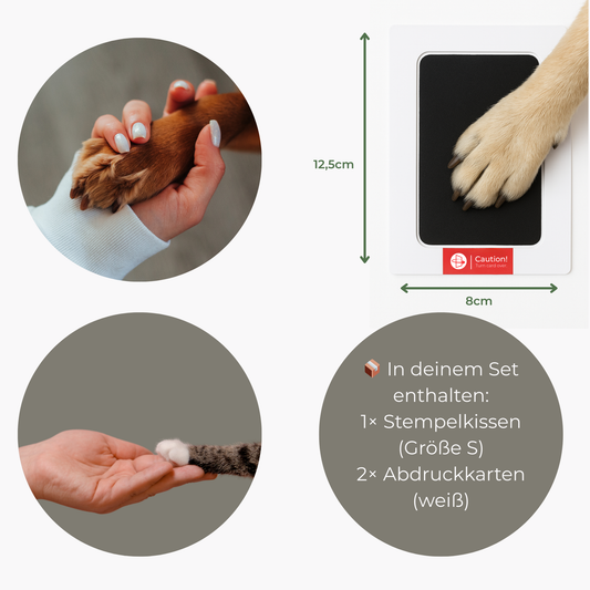 Pfotenabdruckset