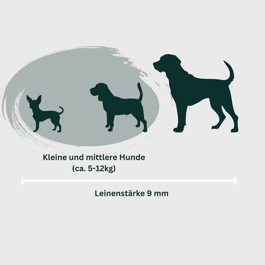 BioThane® 9mm Leine (Sonnengelb mit Oliv, Länge 2,5m)
