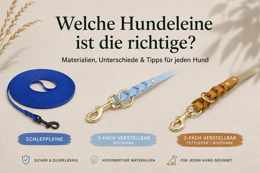 Welche Hundeleine ist die richtige?