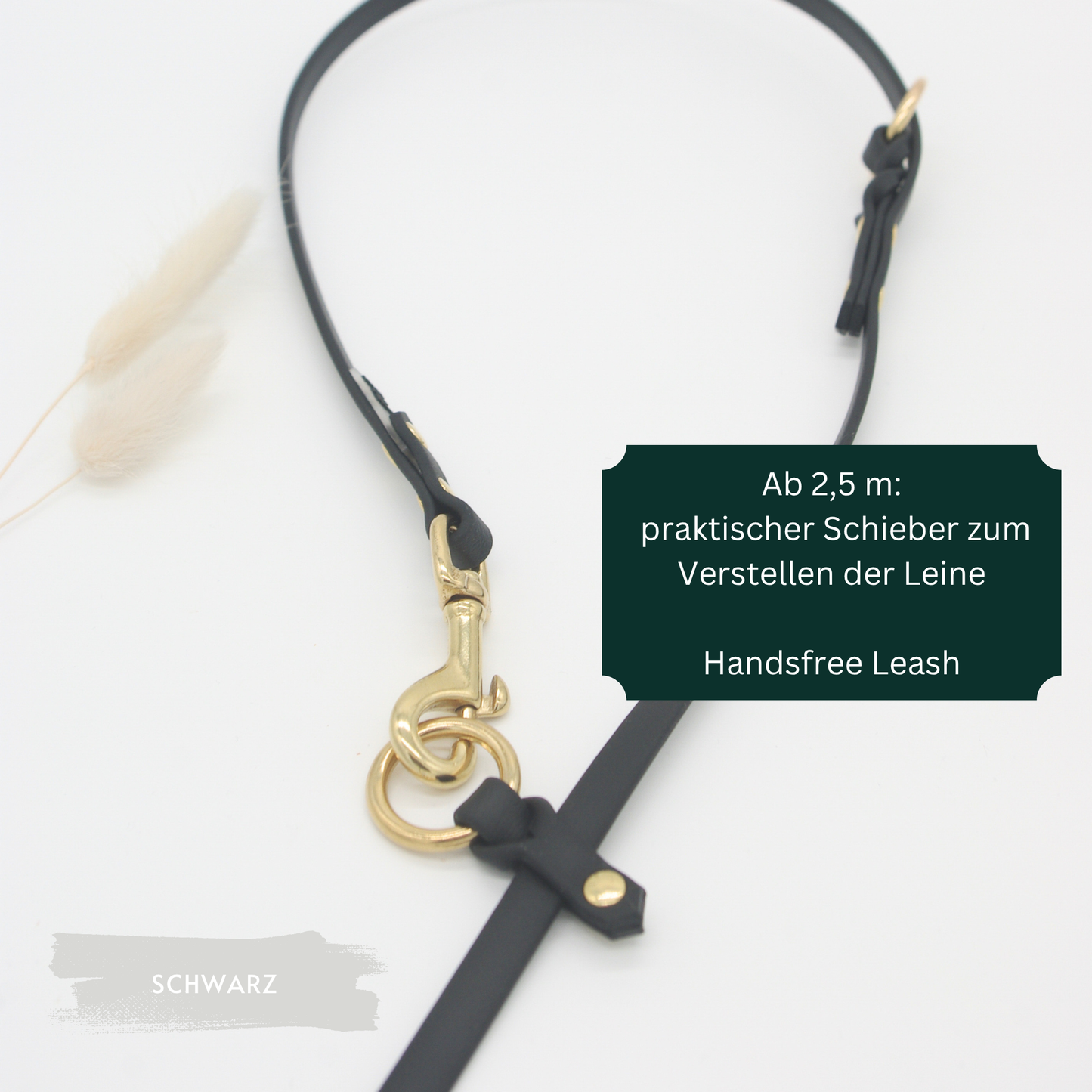 BioThane® 9mm Leine