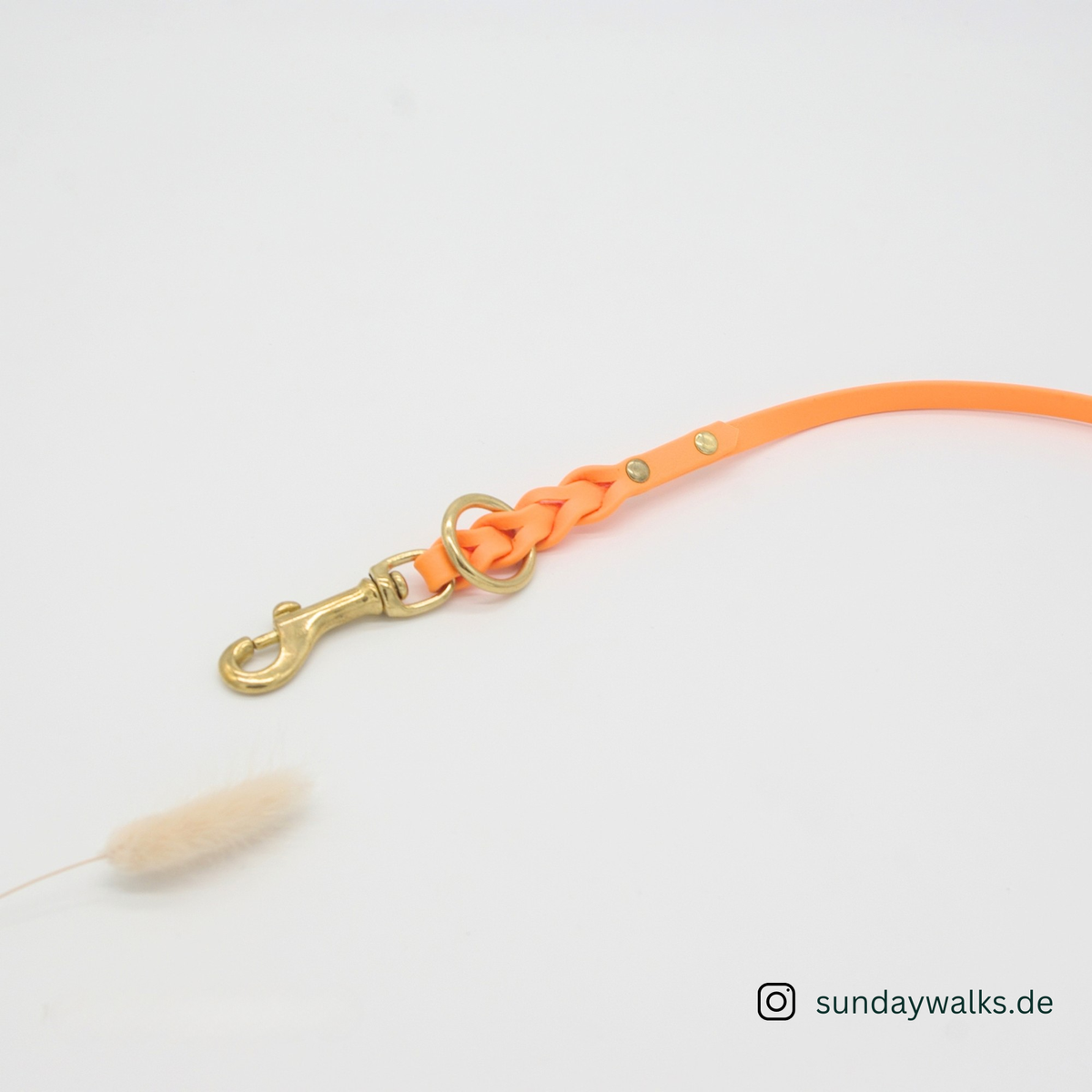 BioThane® 9mm Leine (Orange, Länge 2m)