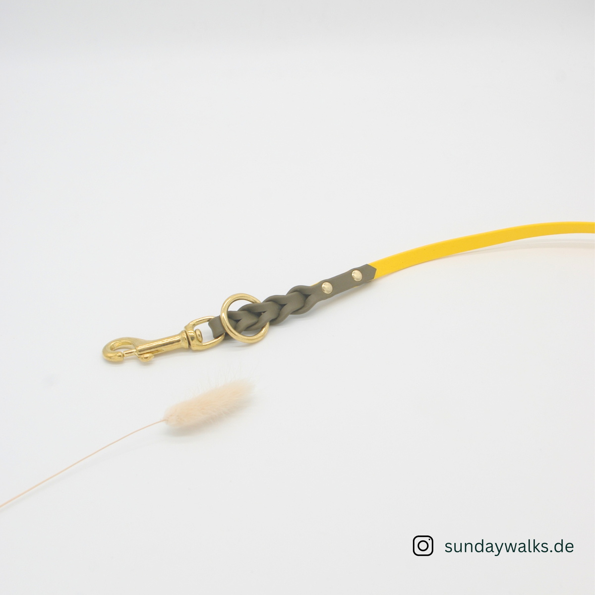 BioThane® 9mm Leine (Sonnengelb mit Oliv, Länge 2,5m)
