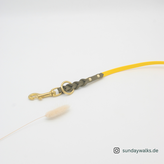 BioThane® 9mm Leine (Sonnengelb mit Oliv, Länge 2,5m)